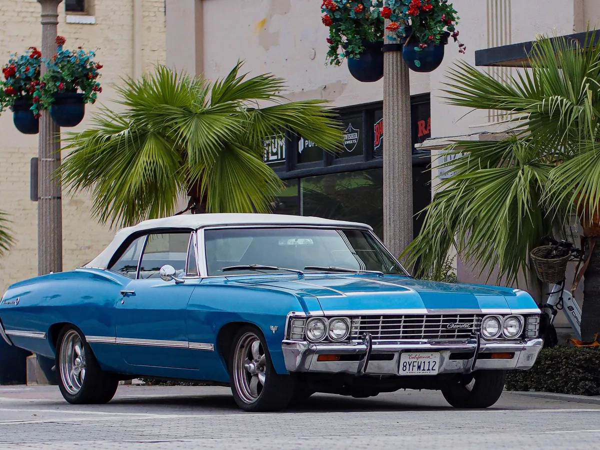 Impala